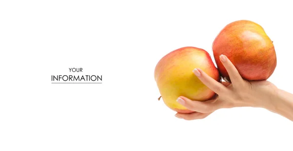 Due mele a mano modello — Foto Stock