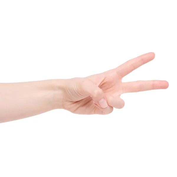 Weibliche Hand zwei Finalisten — Stockfoto