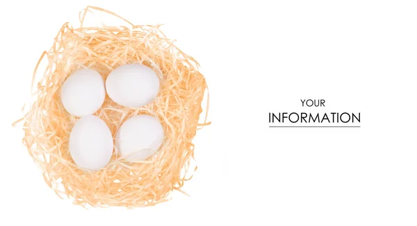 Куриные яйца в форме гнезда — стоковое фото