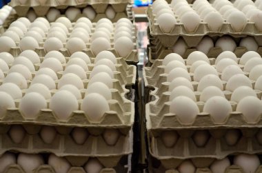 tepsiler içinde yumurta