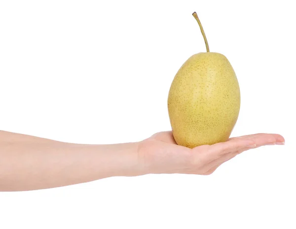 Elinde meyve hibrid elma armut — Stok fotoğraf