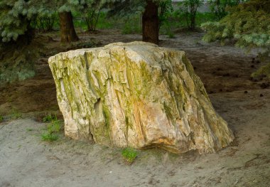 Açık havada büyük duran taş