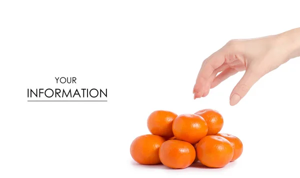 Mandarini nel modello delle mani — Foto Stock