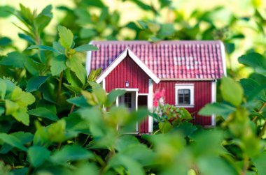 Küçük ev güneş yeşil bitki doğa bırakır