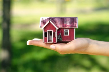 El güneş yeşil bahçe doğa küçük bir evde