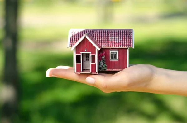 El güneş yeşil bahçe doğa küçük bir evde