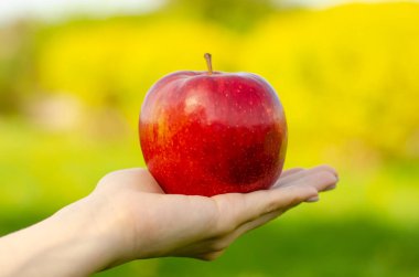 Elinde elma ağaçları yeşil güneş doğa arka plan bırakır.