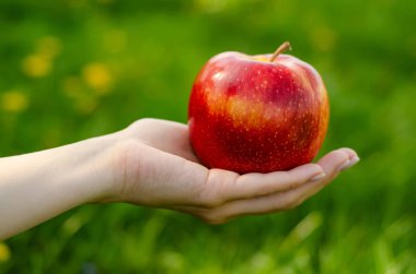 Elinde elma ağaçları yeşil güneş doğa arka plan bırakır.