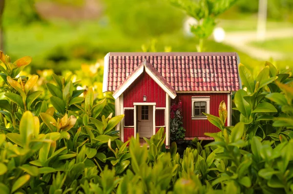 Küçük ev güneş yeşil bitki doğa bırakır