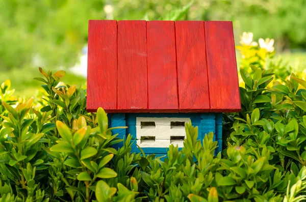 Küçük ahşap ev güneş yeşil bitki doğa bırakır