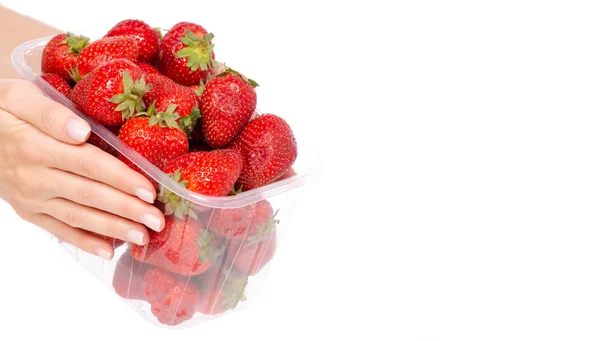 Verpakking aardbeien in een hand — Stockfoto