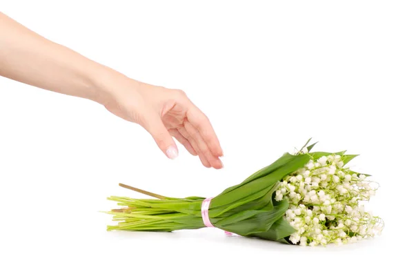 Maiglöckchen in der Hand — Stockfoto