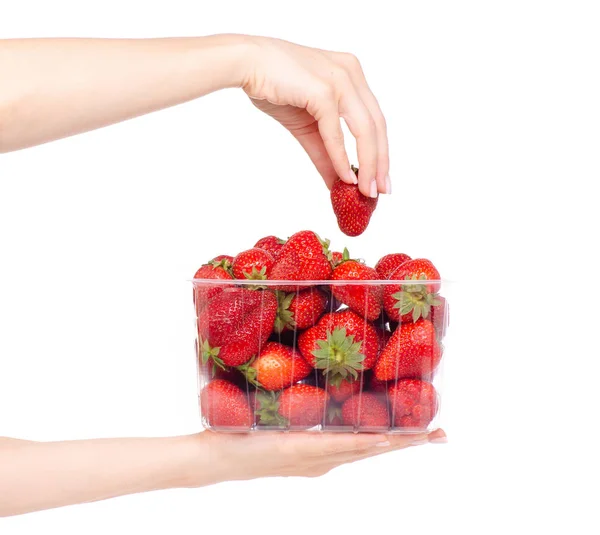 Verpakking aardbeien in een hand — Stockfoto