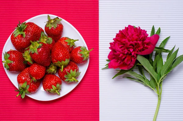 Aardbei bloemen pioenrozen — Stockfoto