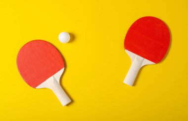 masa tenisi oyunu