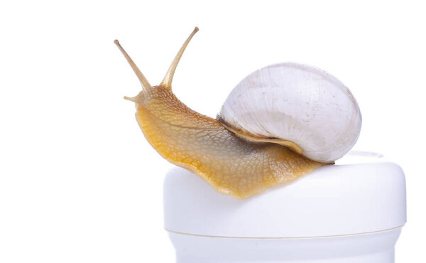 Белая бутылка сливок с улиткой
