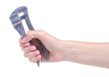 Elinde sarımsak için metal pres makinesi