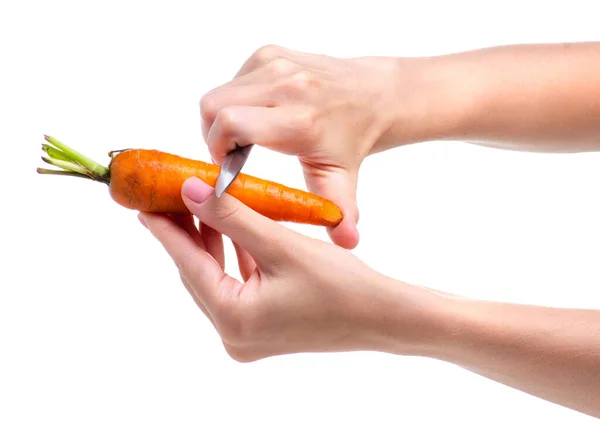 手にニンジン野菜ナイフ — ストック写真