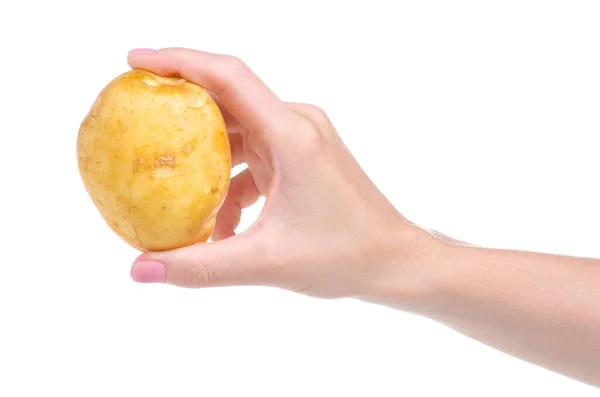Картошка в руке — стоковое фото
