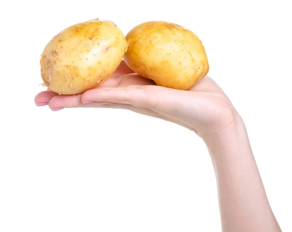 Potatoes in hand — Stock Photo, Image