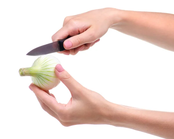 Cipolla e coltello in mano — Foto Stock