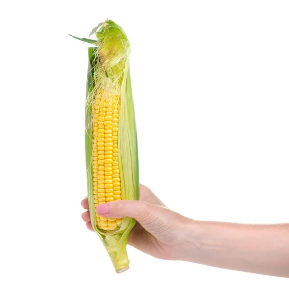 Kukuřice čerstvé jídlo v ruce — Stock fotografie
