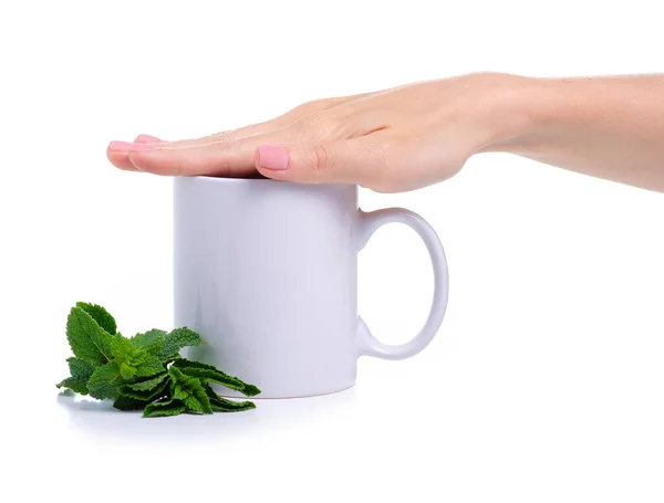Чашка зі свіжим зеленим м "ятом у руці. — стокове фото