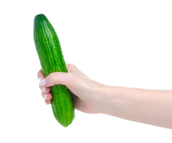 Αγγούρι φρέσκο λαχανικό στο χέρι — Φωτογραφία Αρχείου