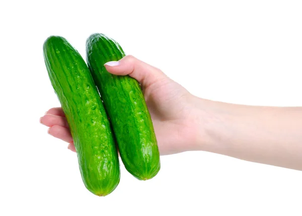 Komkommers verse groenten in de hand — Stockfoto