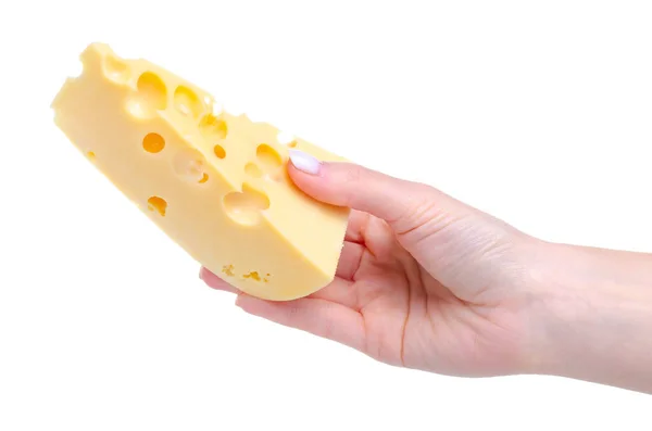 A piece of cheese with holes in hand — Stock Photo, Image