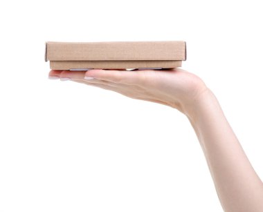 Elinde kahverengi kutu