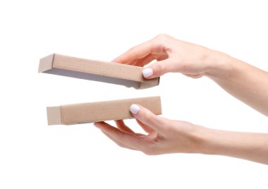 Elinde kahverengi kutu