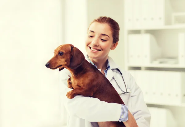 Médico feliz com cão na clínica veterinária — Fotografia de Stock