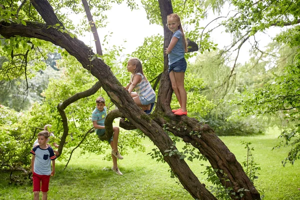 Crianças felizes subindo árvore no parque de verão — Fotografia de Stock
