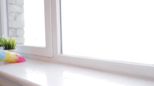 Mujer con limpiador de plumas alféizar ventana en casa — Vídeo de stock