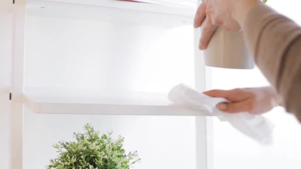 布拭きほこり自宅から棚を持つ女性 — ストック動画