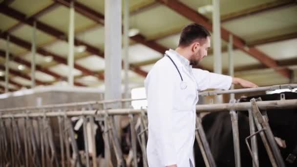 Tierarzt mit Kühen im Stall auf Milchbauernhof — Stockvideo