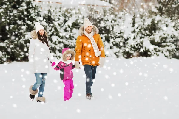 幸福的家庭，在冬天的衣服，到户外散步 — 图库照片