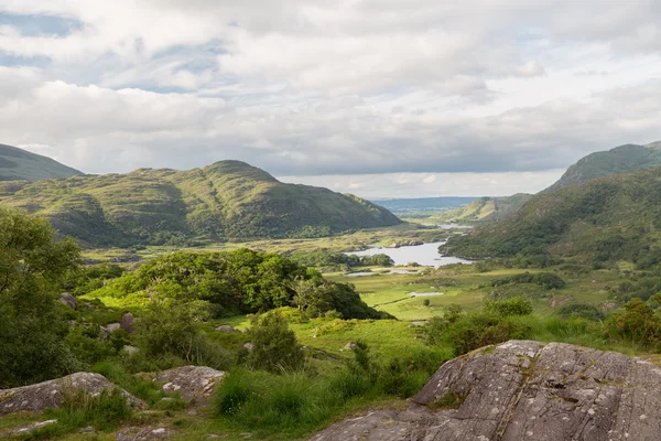Řeka v údolí národního parku Killarney v Irsku — Stock fotografie
