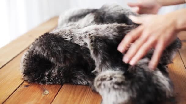 Woman folding faux fur jacket on table at home — Stock Video