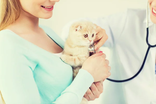 Close up of vet with stethoscope and cat at clinic — Stock Photo, Image