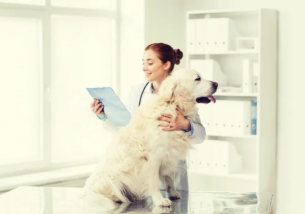 Médico feliz com cão retriever na clínica veterinária — Fotografia de Stock