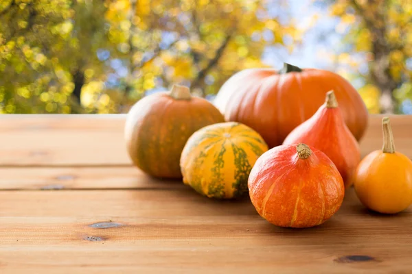 Närbild på pumpor på träbord utomhus — Stockfoto