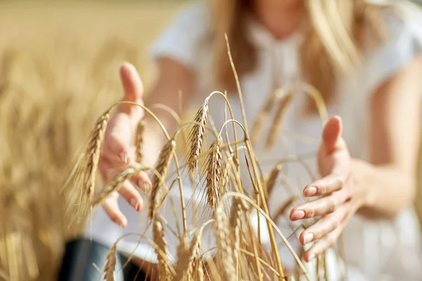 Primo piano di mani di donna in campo di cereali — Foto Stock