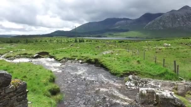 Widok na rzekę i wzgórza w connemara w Irlandii — Wideo stockowe