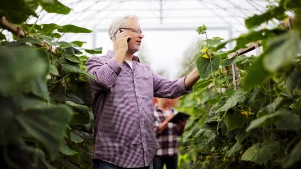 Gubben ringer på smartphone i gården växthus — Stockvideo