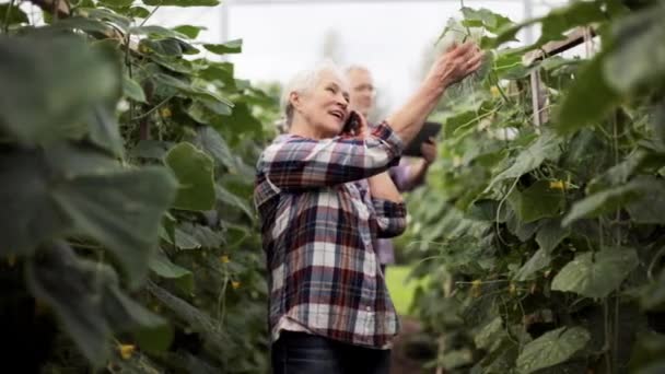 Old woman calling on smartphone in farm greenhouse — Stock Video