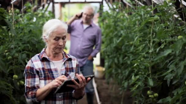 Oude vrouw met tablet pc in kas op boerderij — Stockvideo