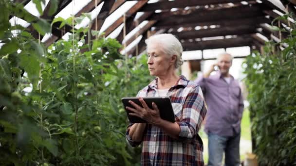 Gammal kvinna med TabletPC i växthus på gården — Stockvideo