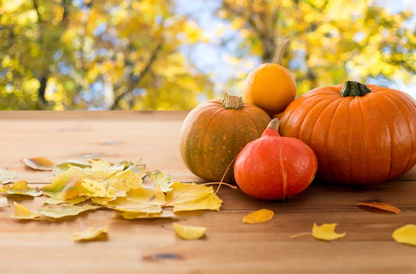 Close up van pompoenen op houten tafel buiten — Stockfoto